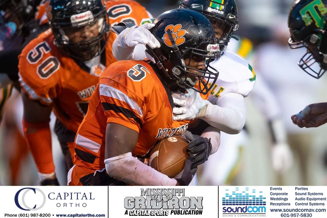 Taylorsville vs Calhoun City, 2A Title Game 40.JPG